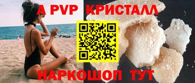 мет Кингисепп