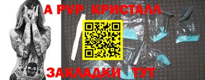 мет Кингисепп