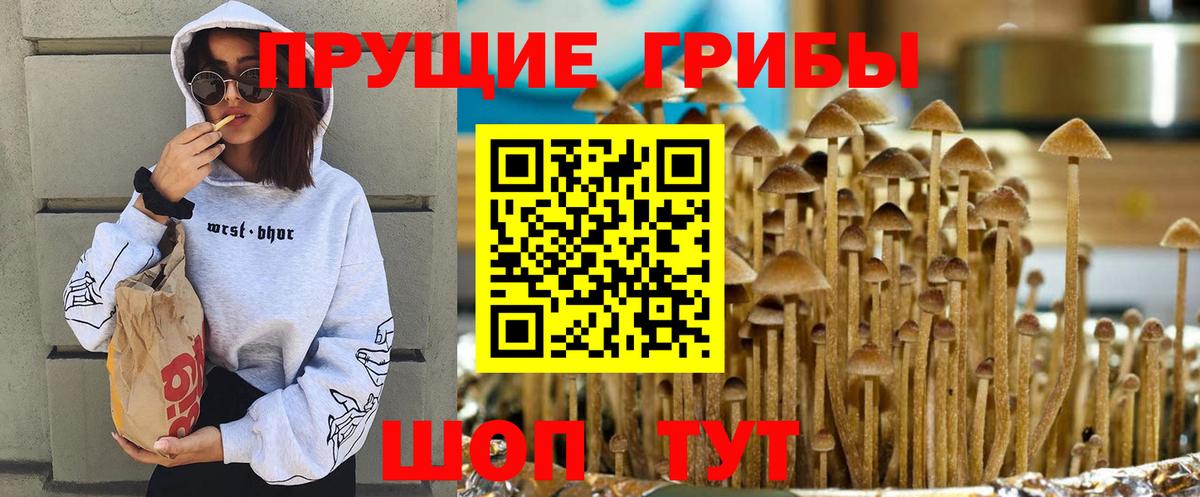 Галлюциногенные грибы Cubensis Благовещенск
