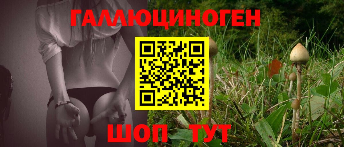 Благовещенск  Псилоцибиновые грибы Psilocybe  Вход с VPN 
